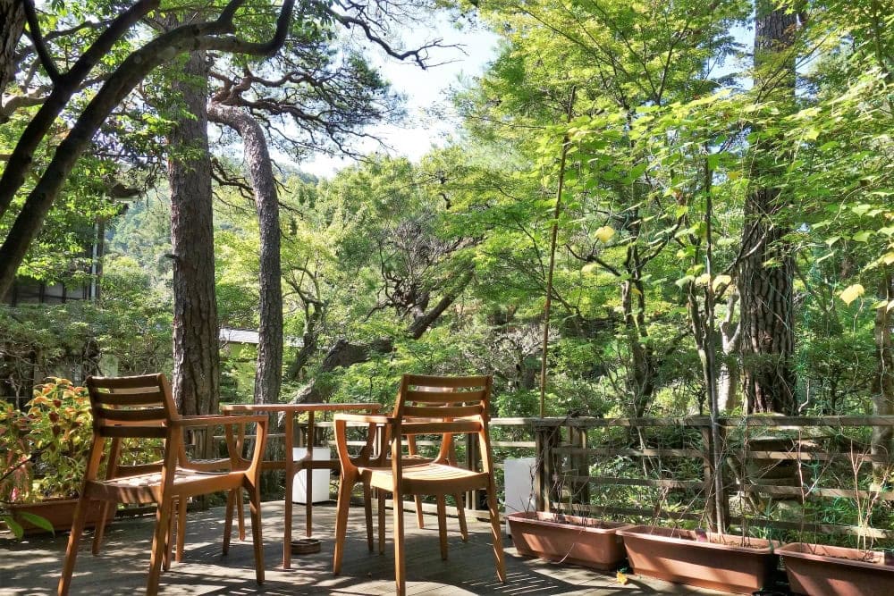 実食レポ】修善寺の隠れた名店「さくだ」600円で味わう蕎麦コースが